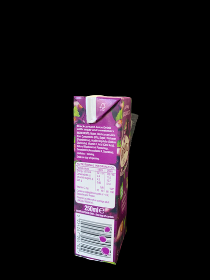 Ribena 250ml